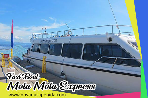 Fast Boat Mola Mola Express ke Nusa Penida
