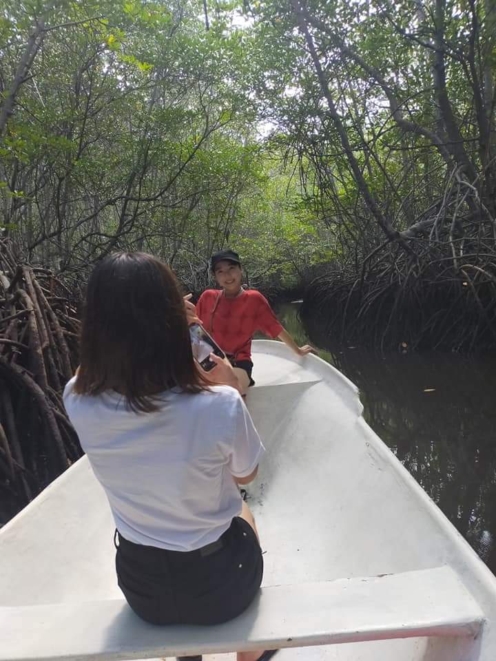 Hutan Mangrove Nusa Lembongan